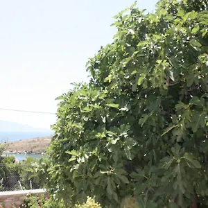 Condo Rooms Sarandë