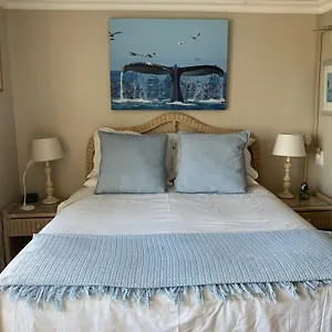 Whale's Tale , Fish Hoek South Africa